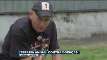Pets podem ajudar a reduzir riscos de doenças cardíacas