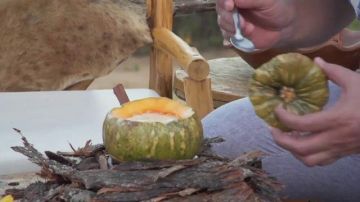 Restaurante nas alturas: Pedra do Sapo atrai casais a 100 km de Natal