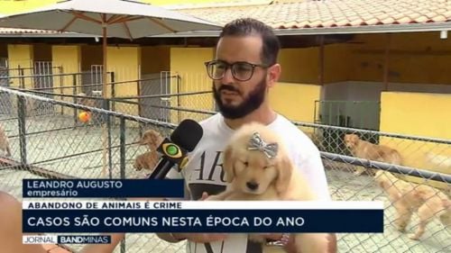 ABANDONO DE ANIMAIS CRESCE NO FIM DO ANO
