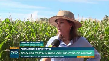 Pesquisa testa insumo de dejetos de animais