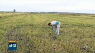 Inadimplência volta a crescer no crédito rural