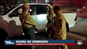 Pitbull ataca homem no Seminário; entenda como aconteceu