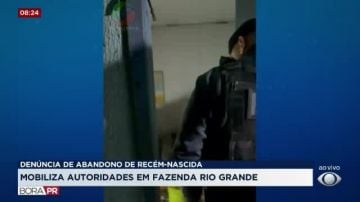 Denúncia de abandono de recém-nascida em Fazenda Rio Grande