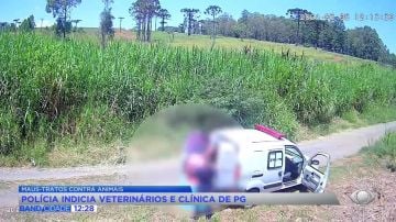 Veterinários são indiciados por maus-tratos a cães em PG