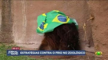 Entenda as estratégias contra o frio no Zoológico