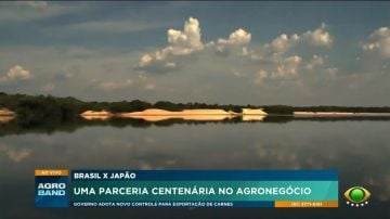 Brasil e Japão: rivais no futebol, parceiros no agronegócio