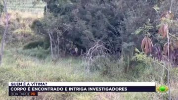 Achado de cadáver em mata levanta mistério em Rolândia
