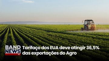 Tarifaço dos EUA deve atingir 36,5% das exportações do Agro